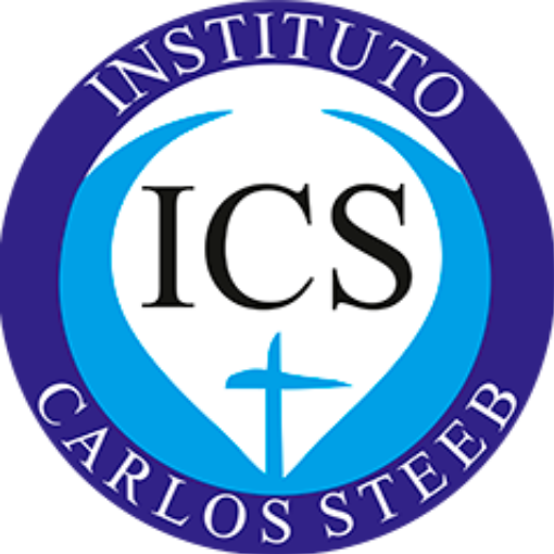 logo Anuario Steeb
