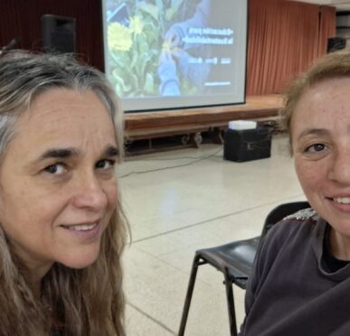 Comité Ambiental