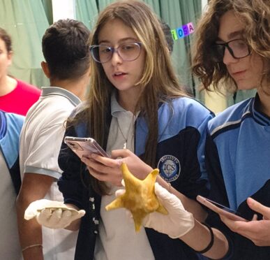 Ciencias Naturales: Explorar, Experimentar y Descubrir